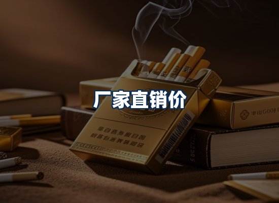 专业团队办公环境